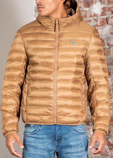 Lacoste Jassen Puffer jacket - dark tate