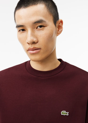 Lacoste Truien Sweatshirt - expresso