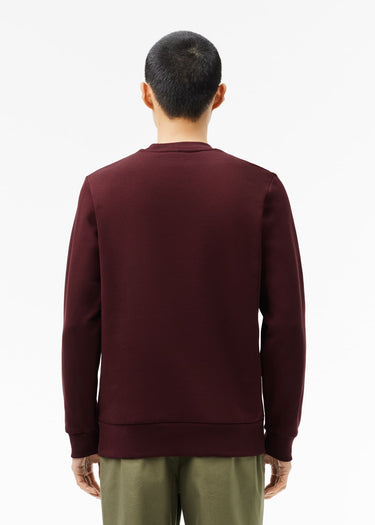 Lacoste Truien Sweatshirt - expresso