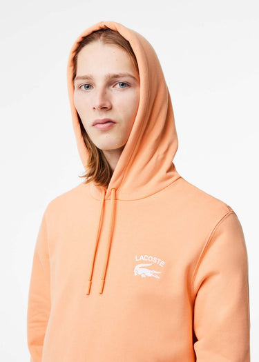 Lacoste Hoodies Branded hoodie - ledge
