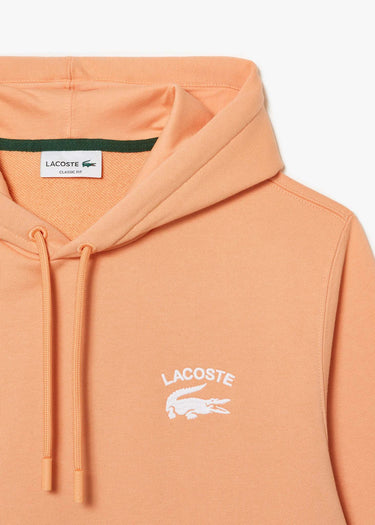 Lacoste Hoodies Branded hoodie - ledge
