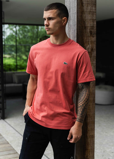 Lacoste T-shirts Men tee shirt - sierra red