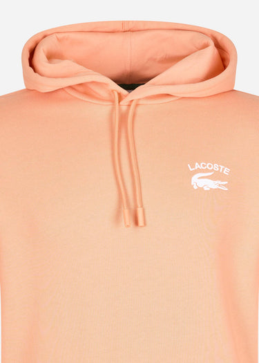 Lacoste Hoodies Branded hoodie - ledge