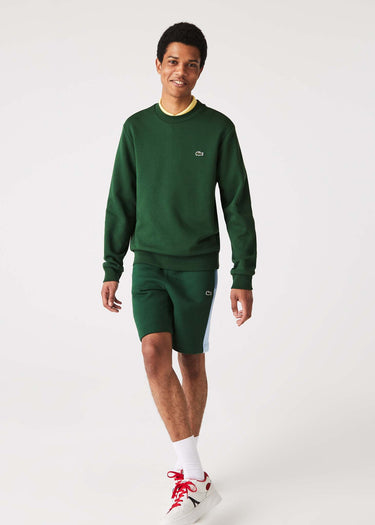 Lacoste Truien Sweater - green