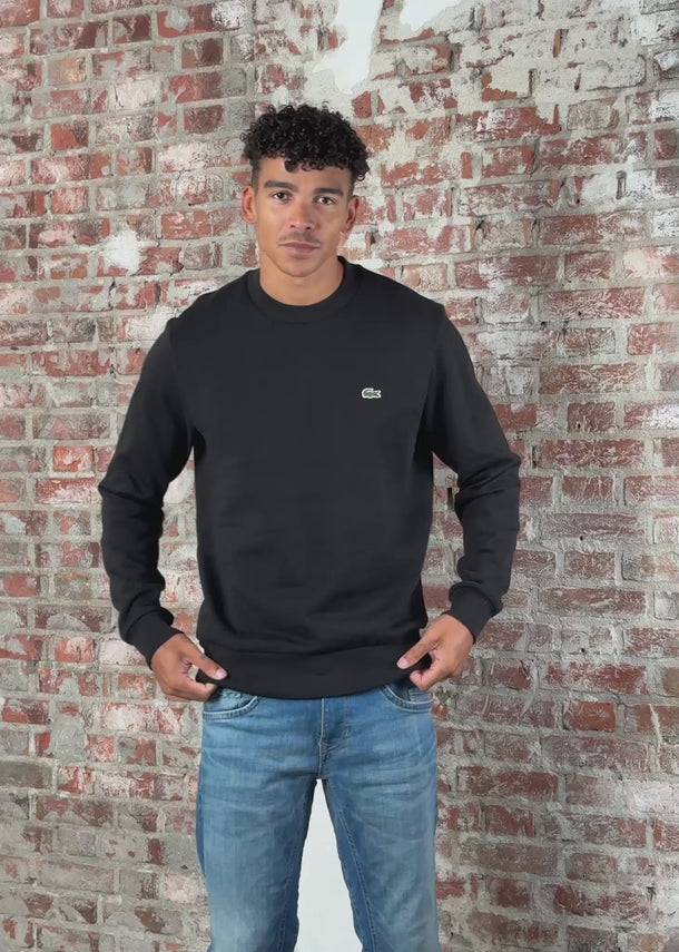 Lacoste Truien Sweater - black