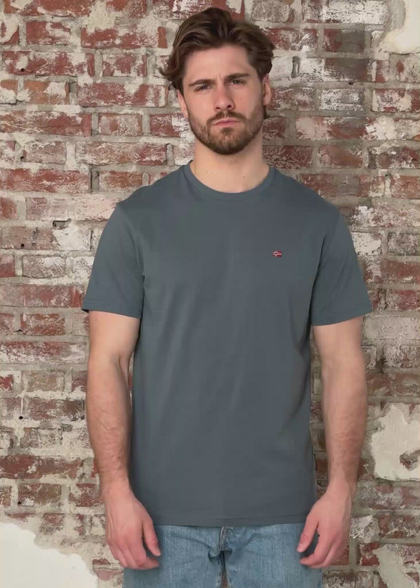 Napapijri T-shirts Salis sum - stormy weat